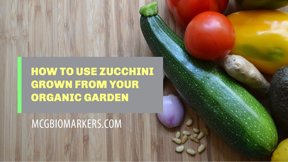 How-to-Use-Zucchini-Grown-from-Your-Organic-Garden