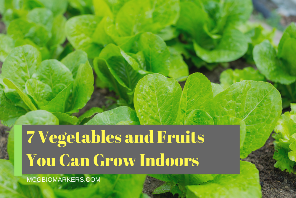 7-vegetables-and-fruits-you-can-grow-indoors