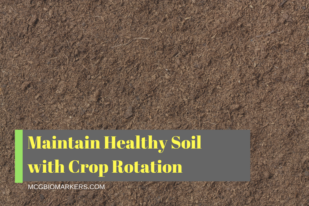 maintain-healthy-soil-with-crop-rotation