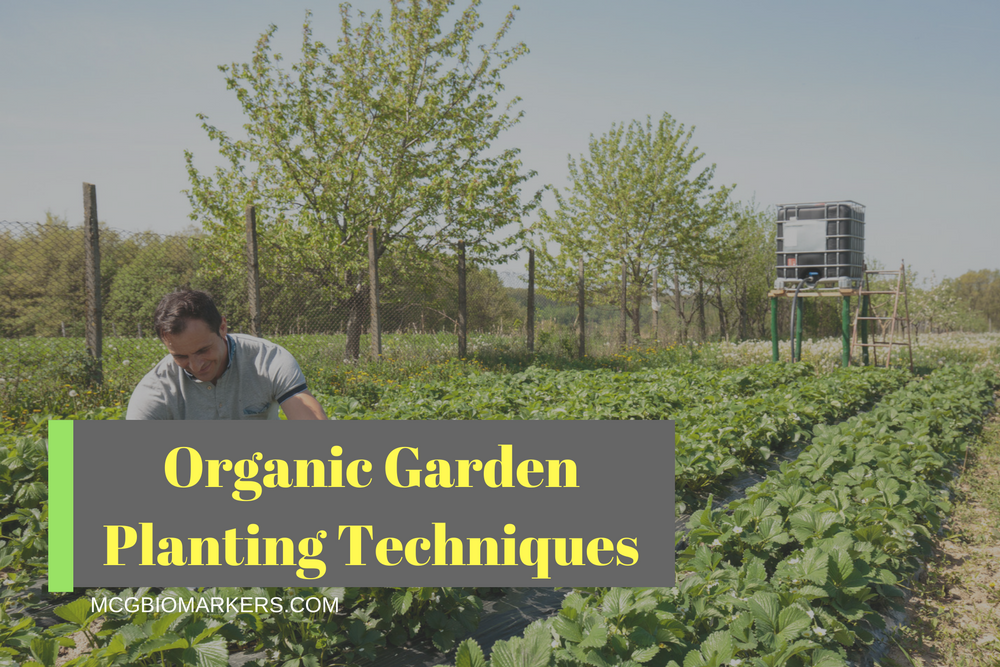 organic-garden-planting-techniques-1
