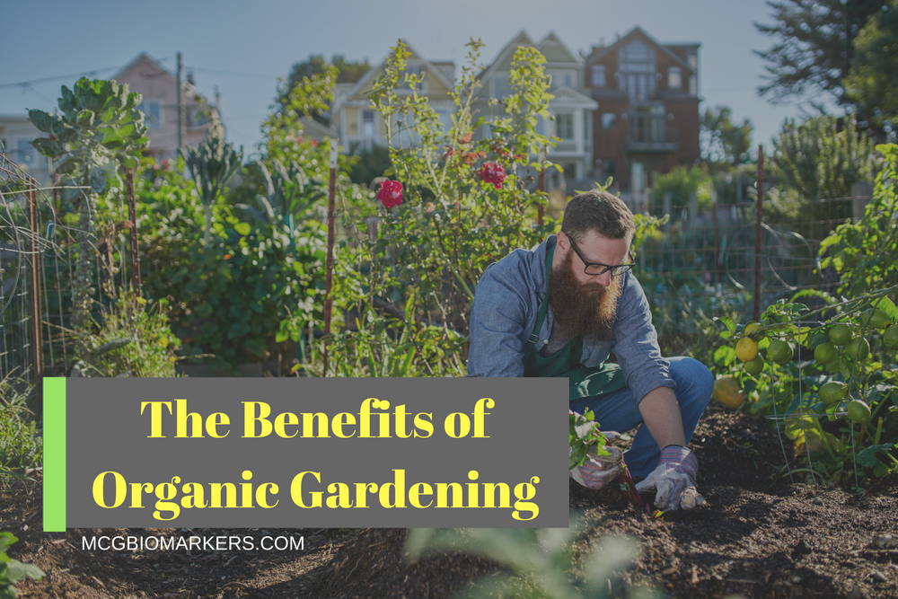 the-benefits-of-organic-gardening