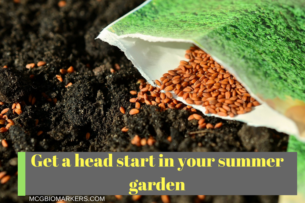 Get a head start in your summer garden