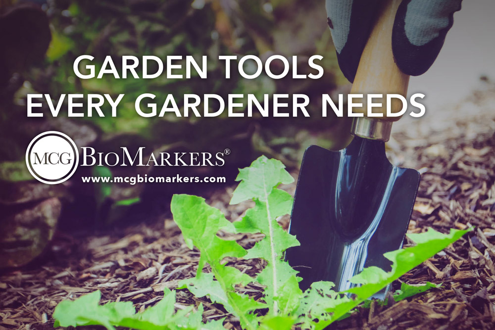 garden-tools-every-gardener-needs-1