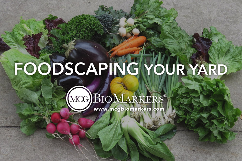 foodscaping-your-yard-1.jpg
