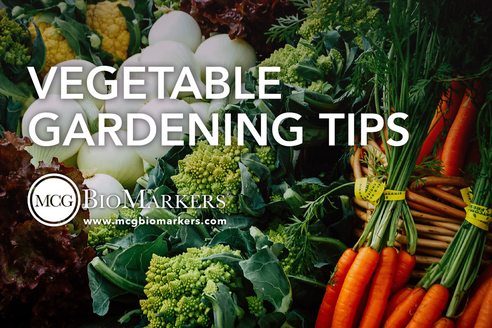 vegetable-gardening-tips-1.jpg