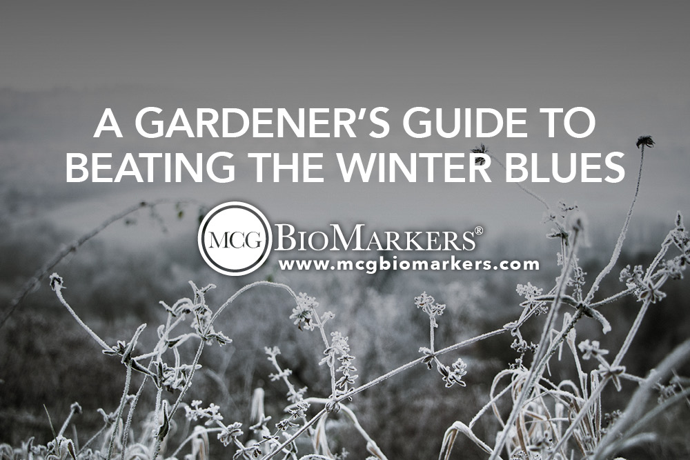 A Gardener_s Guide to Beating the Winter Blues 1