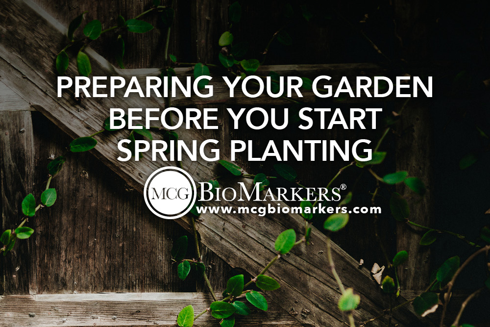 Preparing Your Garden Before You Start Spring Planting