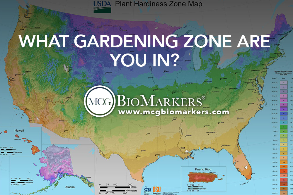 What Gardening Zone Are You In?