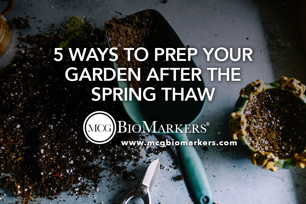 5 Ways to Prep Your Garden After the Spring Thaw 1.jpg