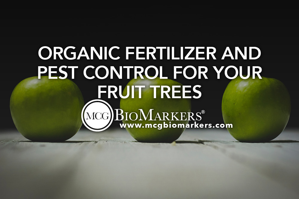 Organic Fertilizer ft 1