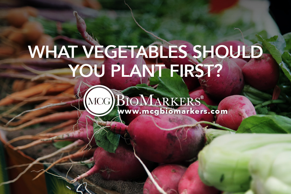 What Vegetables Should You Plant First? 1